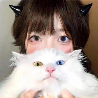 趴体生活
